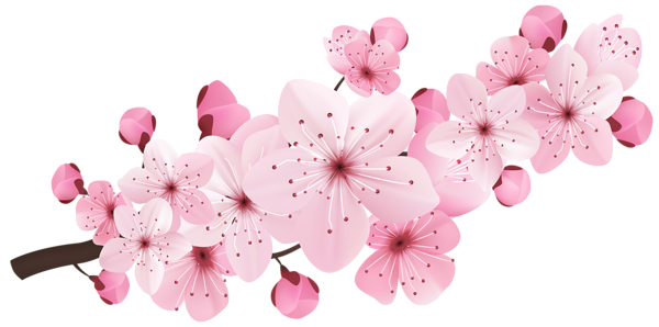 This png image - Pink Spring Blooming Branch PNG Clipart, is available for free download