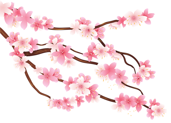 This png image - Pink Spring Branch PNG Clipart Image, is available for free download
