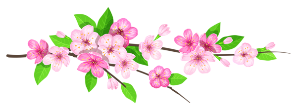 This png image - Pink Spring Branch PNG Image, is available for free download