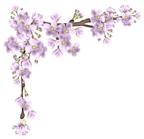 This png image - Pink Spring Branch PNG Picture, is available for free download