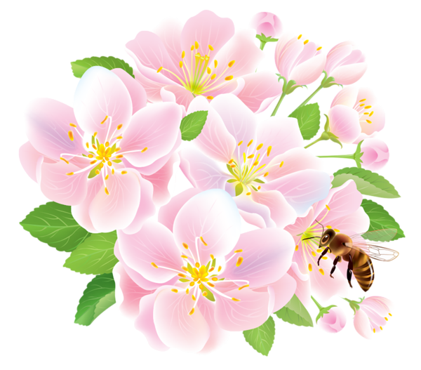 This png image - Pink Spring Flowers with Bee, is available for free download