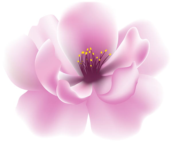 This png image - Pink Spring Tree Flower PNG Clipart, is available for free download