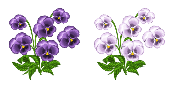 This png image - Purple and White Violets PNG Clipart, is available for free download