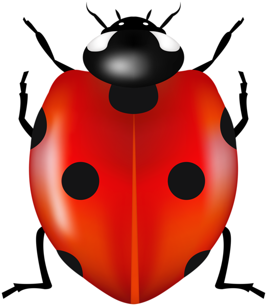 This png image - Red Ladybug PNG Clipart, is available for free download