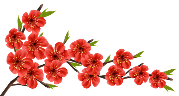 This png image - Red Spring Branch PNG Clipart Image, is available for free download