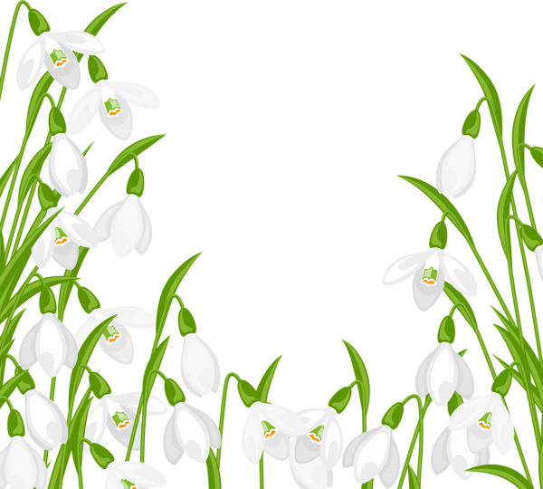 This png image - Snowdrops Decoration PNG Clipart, is available for free download