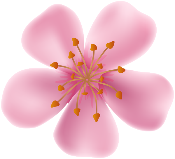 This png image - Spring Blooming Flower Clip Art Image, is available for free download