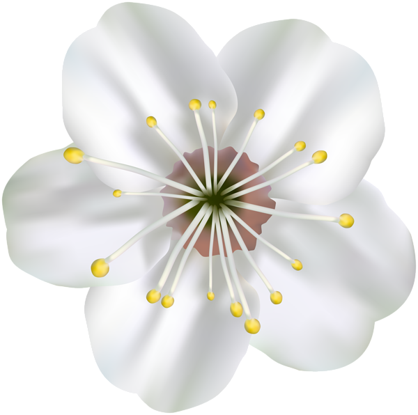 This png image - Spring Blooming Flower PNG Clip Art Image, is available for free download