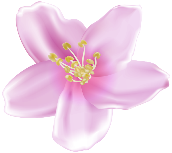 This png image - Spring Blooming Flower Tree Pink PNG Clipart, is available for free download