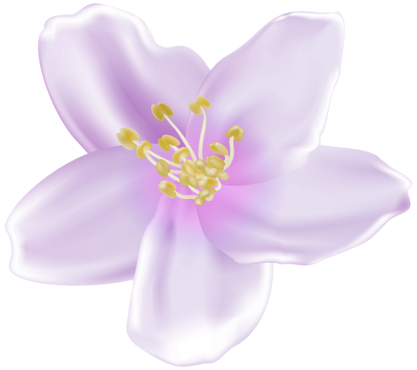 This png image - Spring Blooming Flower Tree Violet PNG Clipart, is available for free download