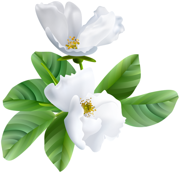 This png image - Spring Blooming Transparent Clip Art Image, is available for free download