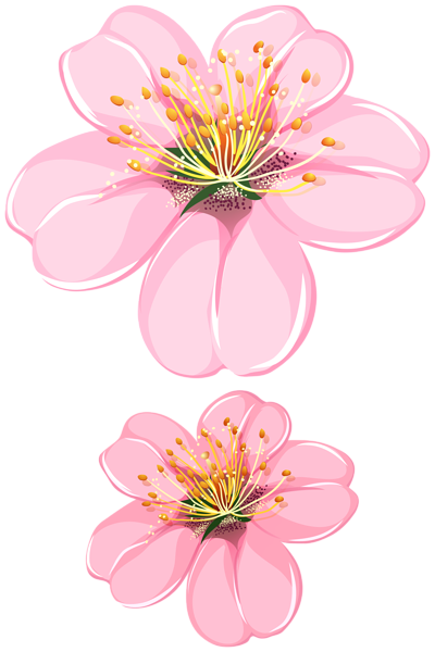 This png image - Spring Blooming Tree Flower Transparent Image, is available for free download