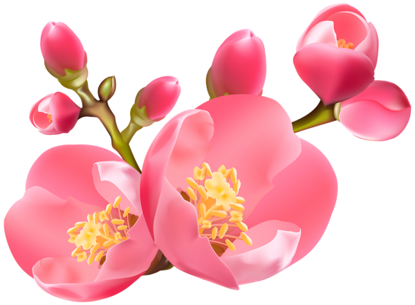 This png image - Spring Blossom Transparent PNG Clip Art Image, is available for free download