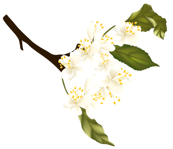 This png image - Spring Branch Element PNG Clipart, is available for free download