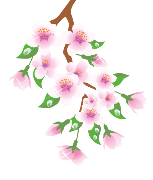 This png image - Spring Branch Pink PNG Clipart, is available for free download