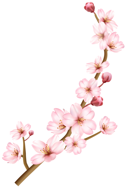 This png image - Spring Branch Transparent PNG Clip Art Image, is available for free download
