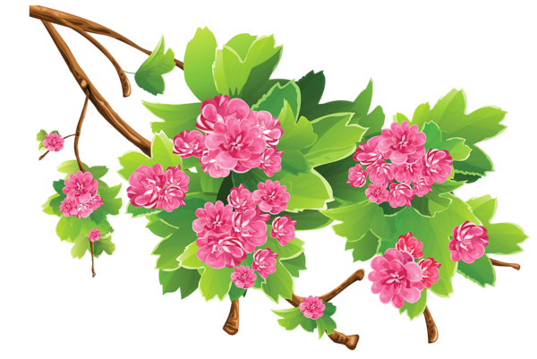 This png image - Spring Branch Transparent PNG Clipart Picture, is available for free download