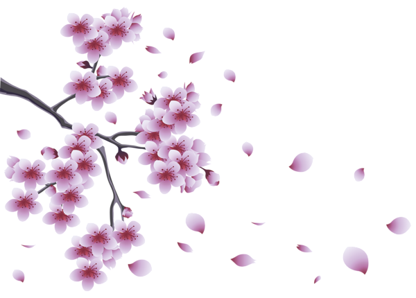 This png image - Spring Branch with Tree Flowers PNG Clipart, is available for free download
