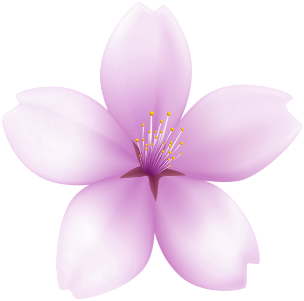 This png image - Spring Cherry Flower PNG Clipart, is available for free download