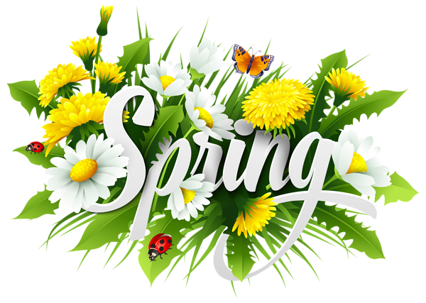 This png image - Spring Decorative Image PNG Clipart, is available for free download