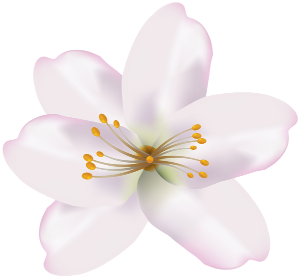 This png image - Spring Flower PNG Clip Art Image, is available for free download
