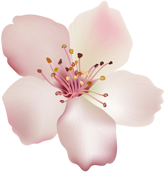 This png image - Spring Flower PNG Image, is available for free download