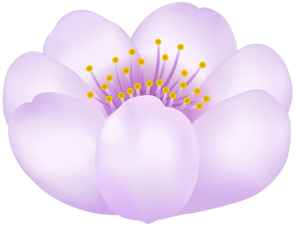 This png image - Spring Flower PNG Transparent Clipart, is available for free download