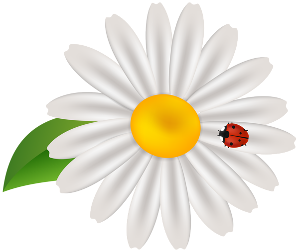 This png image - Spring Flower with Lady Bug Transparent Clip Art, is available for free download