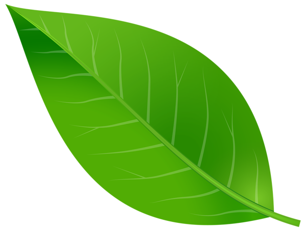 Spring Leaf Transparent PNG Clip Art Image | Gallery Yopriceville