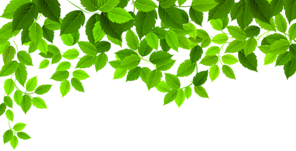 This png image - Spring Leaves Decoration PNG Clip Art Image, is available for free download
