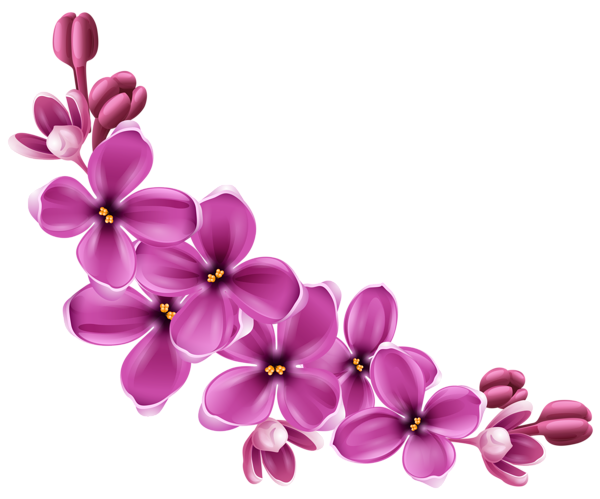 This png image - Spring Pink Floral Decor PNG Picture Clipart, is available for free download