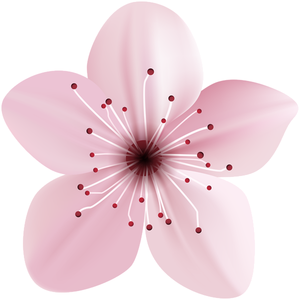 This png image - Spring Pink Flower PNG Clip Art Image, is available for free download