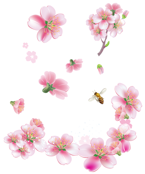 This png image - Spring Pink Trees Flowers PNG Clipart, is available for free download
