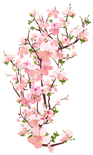 This png image - Spring Tree Branch Transparent PNG Clip Art Image, is available for free download