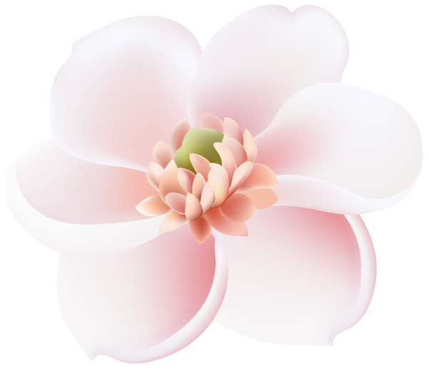 This png image - Spring Tree Flower PNG Transparent Clipart, is available for free download