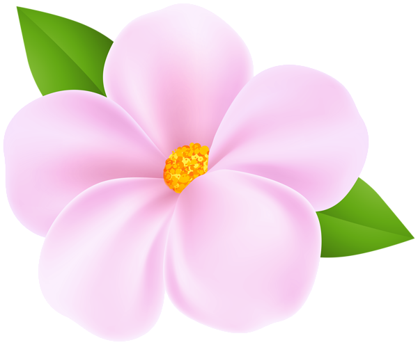 This png image - Spring Tree Flower Transparent PNG Clipart, is available for free download