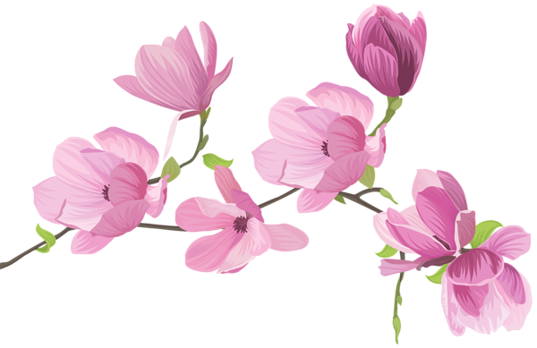 This png image - Spring Tree Flowers PNG Clip Art Image, is available for free download