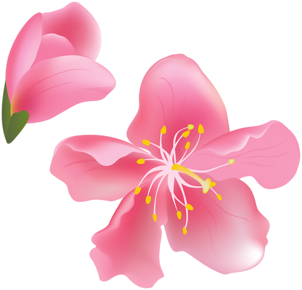 This png image - Spring Tree Flowers PNG Clipart, is available for free download