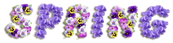 This png image - Spring Violets PNG Clipart Picture, is available for free download