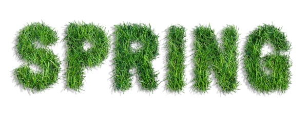 This png image - Spring of Grass PNG Clipart, is available for free download