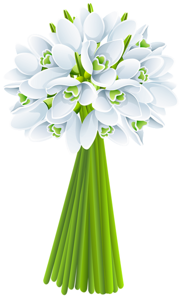 This png image - Springs Snowdrop PNG Clip Art, is available for free download
