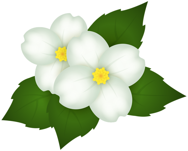 This png image - Strawberry Flowers Transparent Image, is available for free download