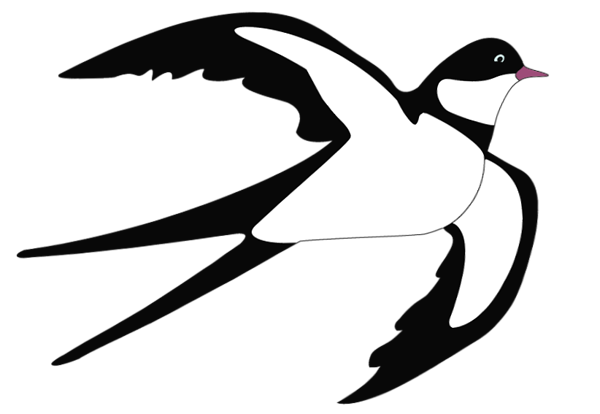 This png image - Swallow PNG Clipart, is available for free download