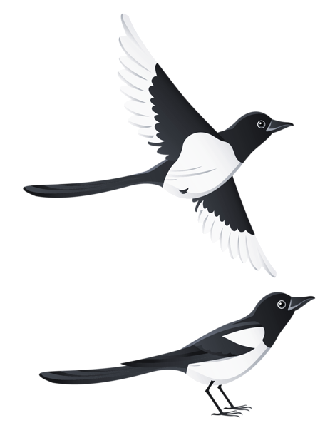 This png image - Swallows PNG Clipart Picture, is available for free download