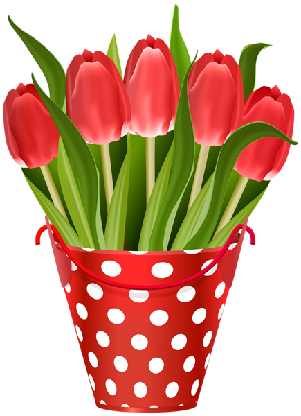 This png image - Tulips in Bucket Transparent Image, is available for free download