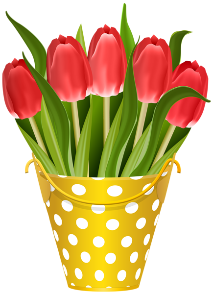 This png image - Tulips in Yellow Bucket Transparent Image, is available for free download