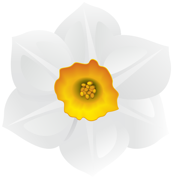 This png image - White Daffodil Flower Clipart Image, is available for free download