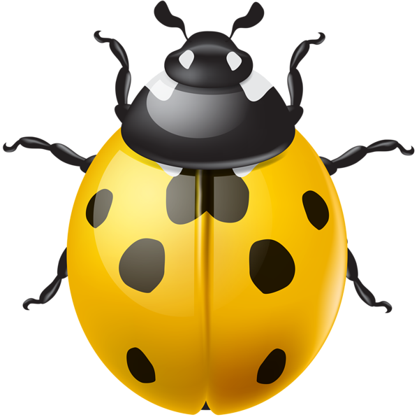 This png image - Yellow Ladybird PNG Clip Art, is available for free download