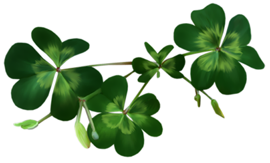 Irish Shamrocks PNG Clipart | Gallery Yopriceville - High-Quality ...