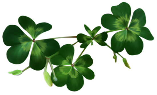 This png image - Irish Shamrocks PNG Clipart, is available for free download